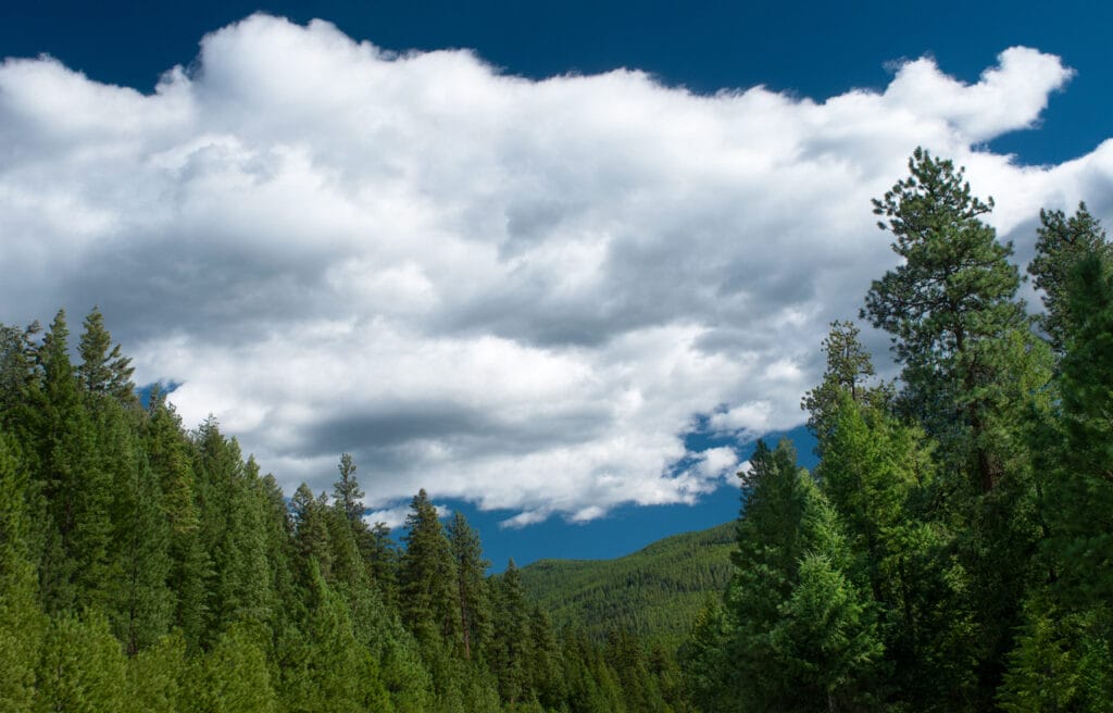 Kootenai National Forest in Montana 