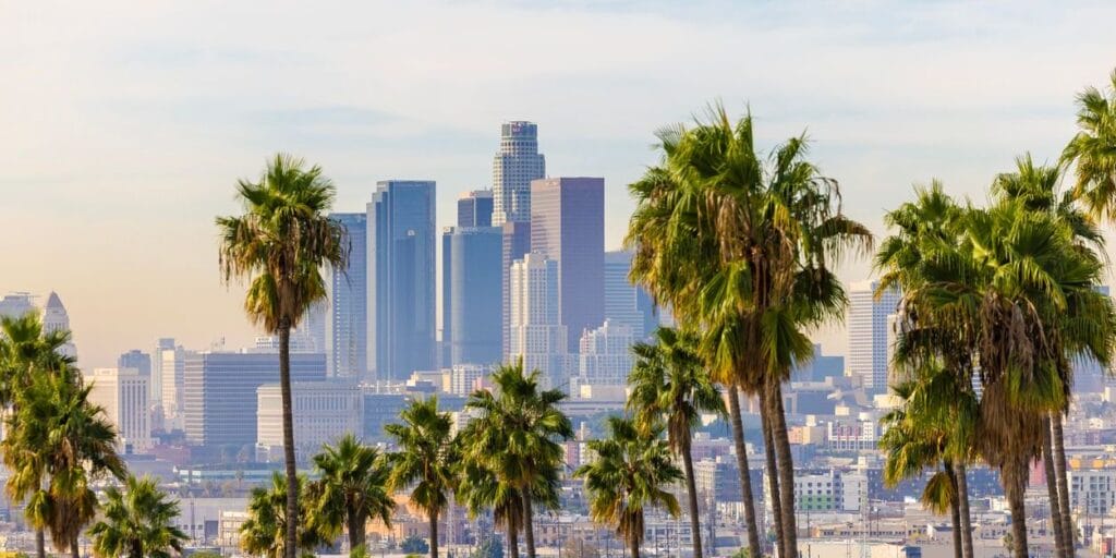 Los Angeles California with Palm trees in the foreground.